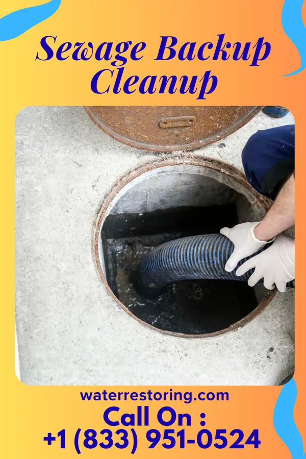 Sewage Backup Cleanup in Spotswood, NJ